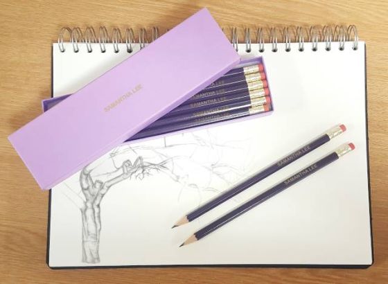12 Purple Pencils in a Purple Box